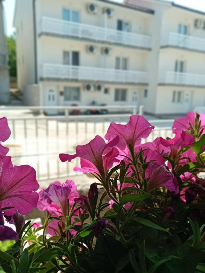 Apartmani Andela 内乌姆 外观 照片
